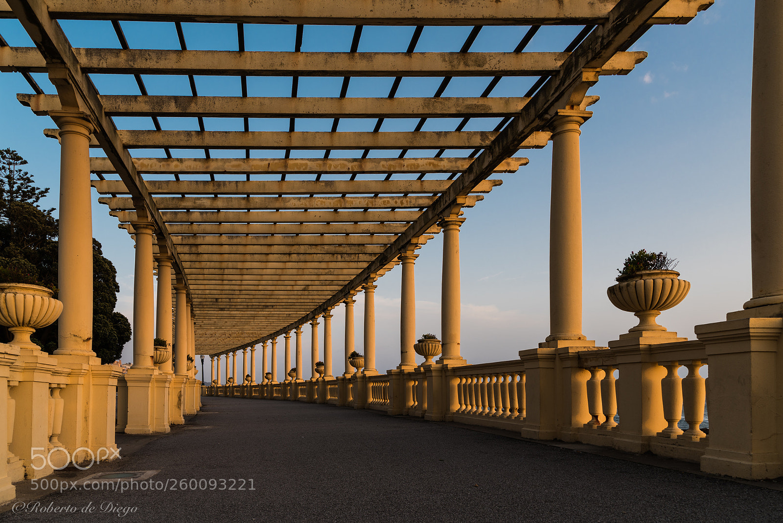 Nikon D750 sample photo. La pérgola. photography