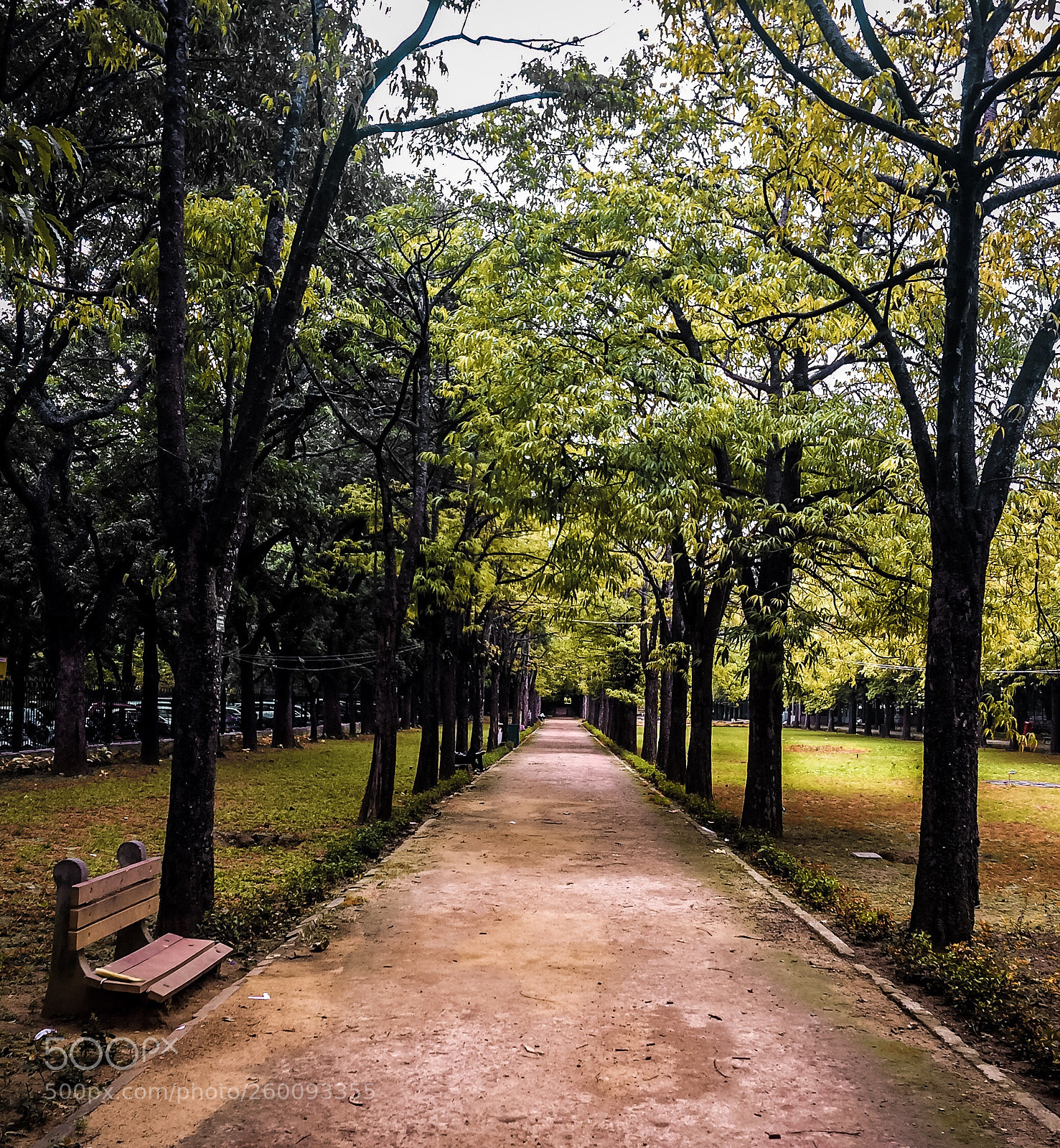 Apple iPhone 5s sample photo. Walk photography