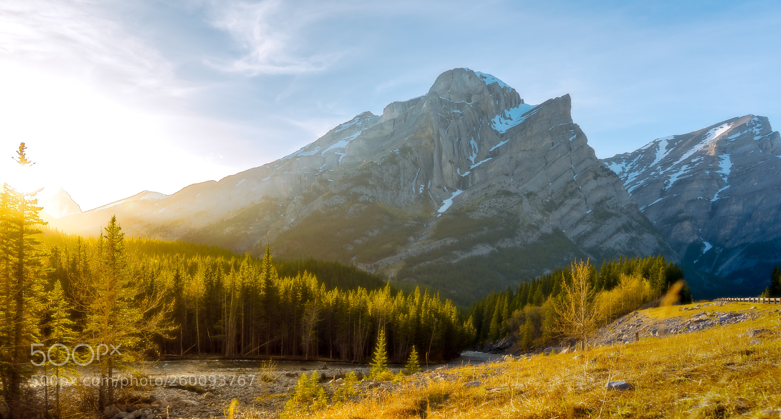 Sony a7 III sample photo. Golden light kananaskis photography