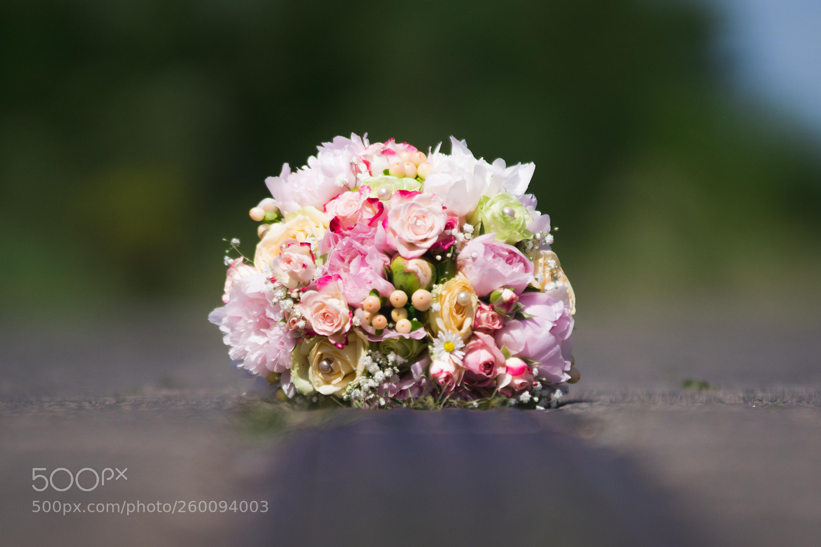 Sony ILCA-77M2 sample photo. F l o w photography