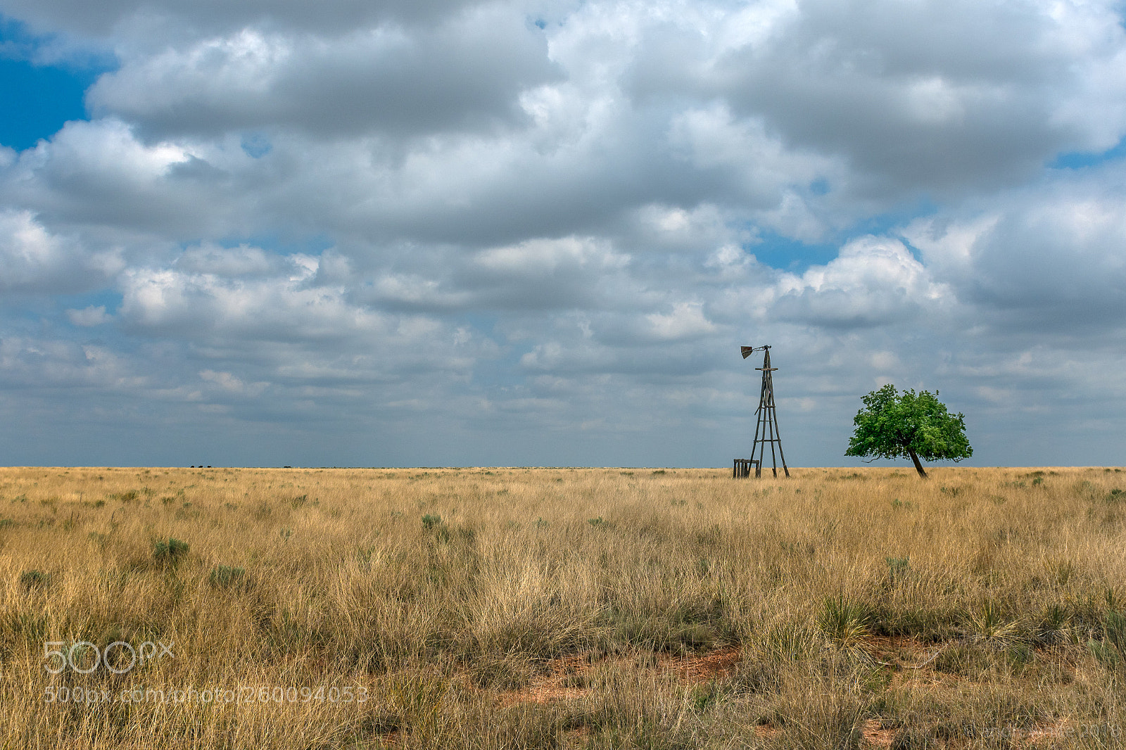 Nikon D850 sample photo. High plains pals photography