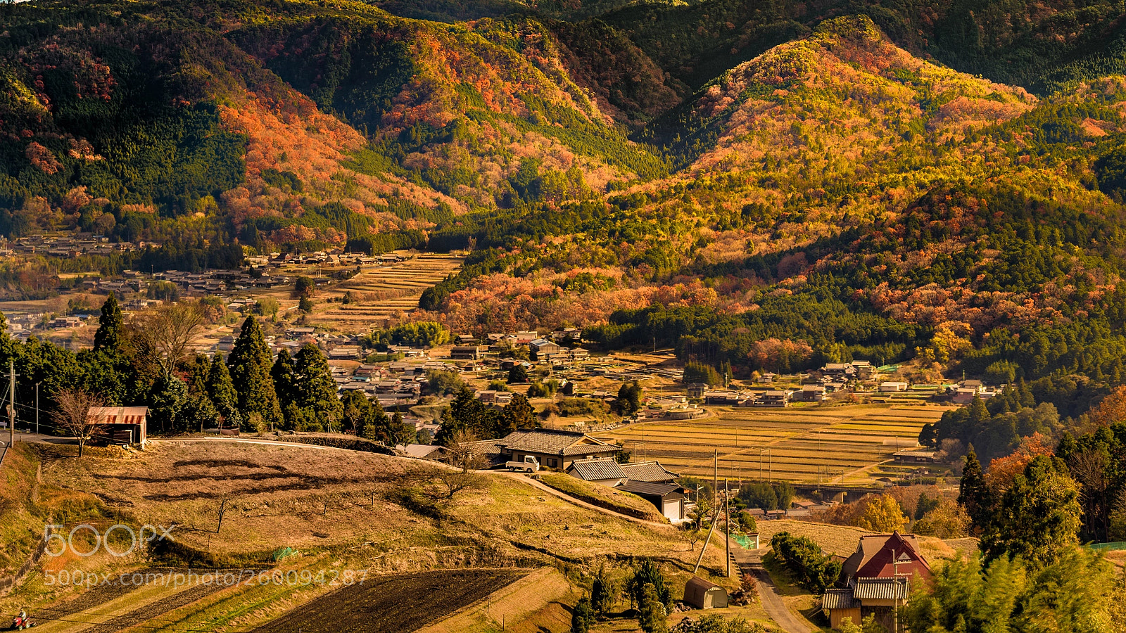 Pentax K-1 sample photo. Autumn　view photography
