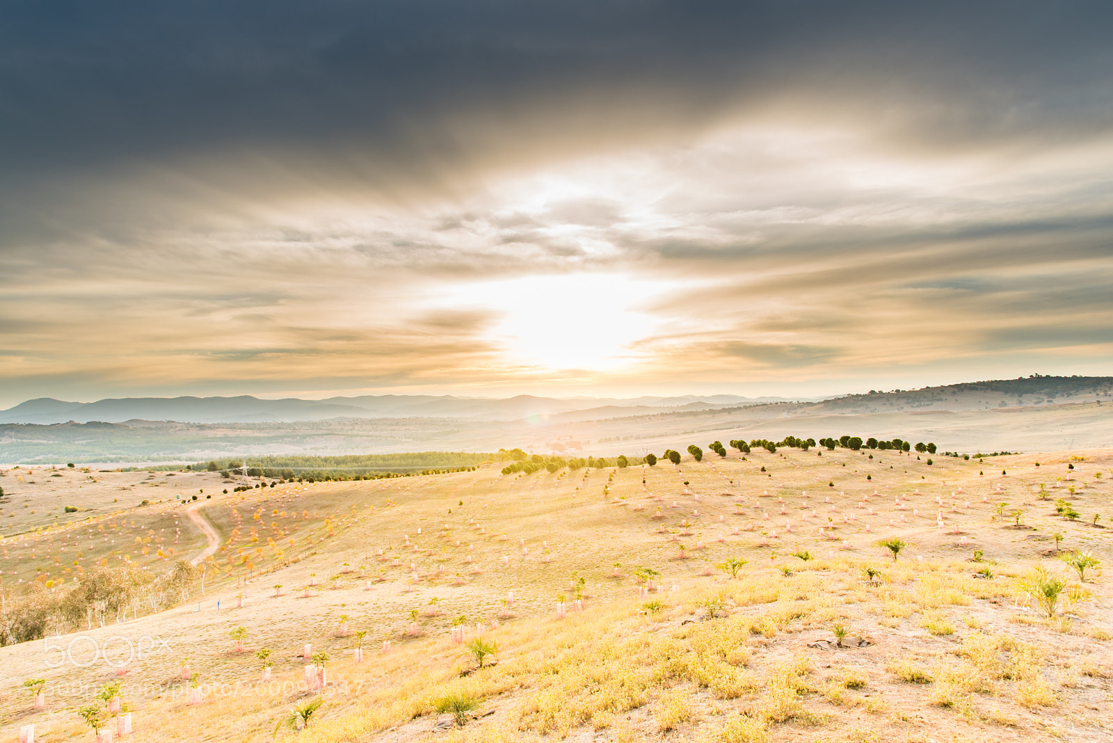 Nikon D750 sample photo. Flare photography