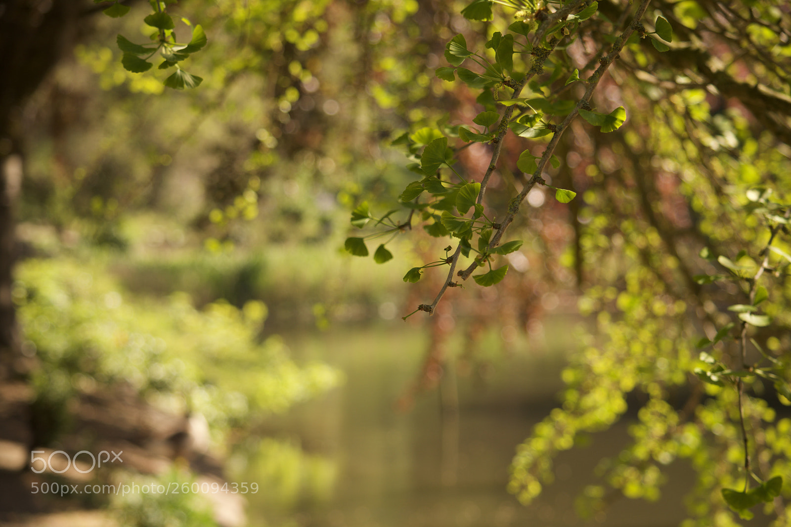 Nikon D7200 sample photo. Fullsizeoutput a photography