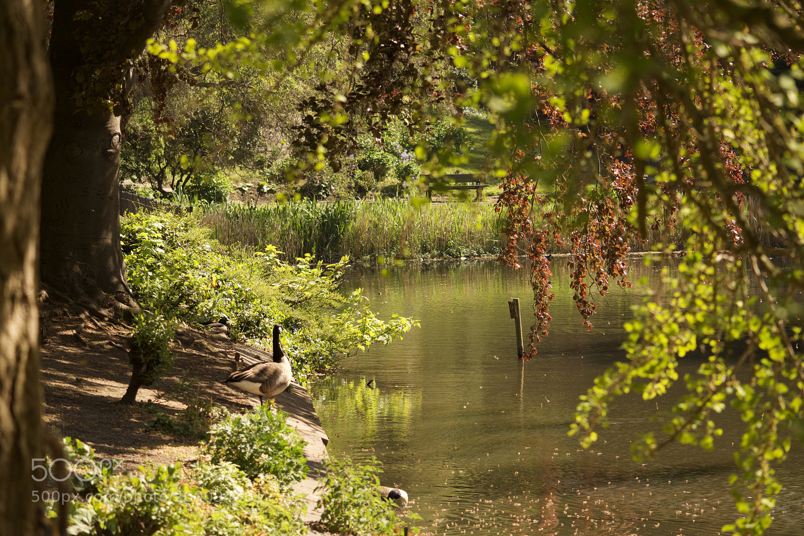 Nikon D7200 sample photo. Fullsizeoutput photography