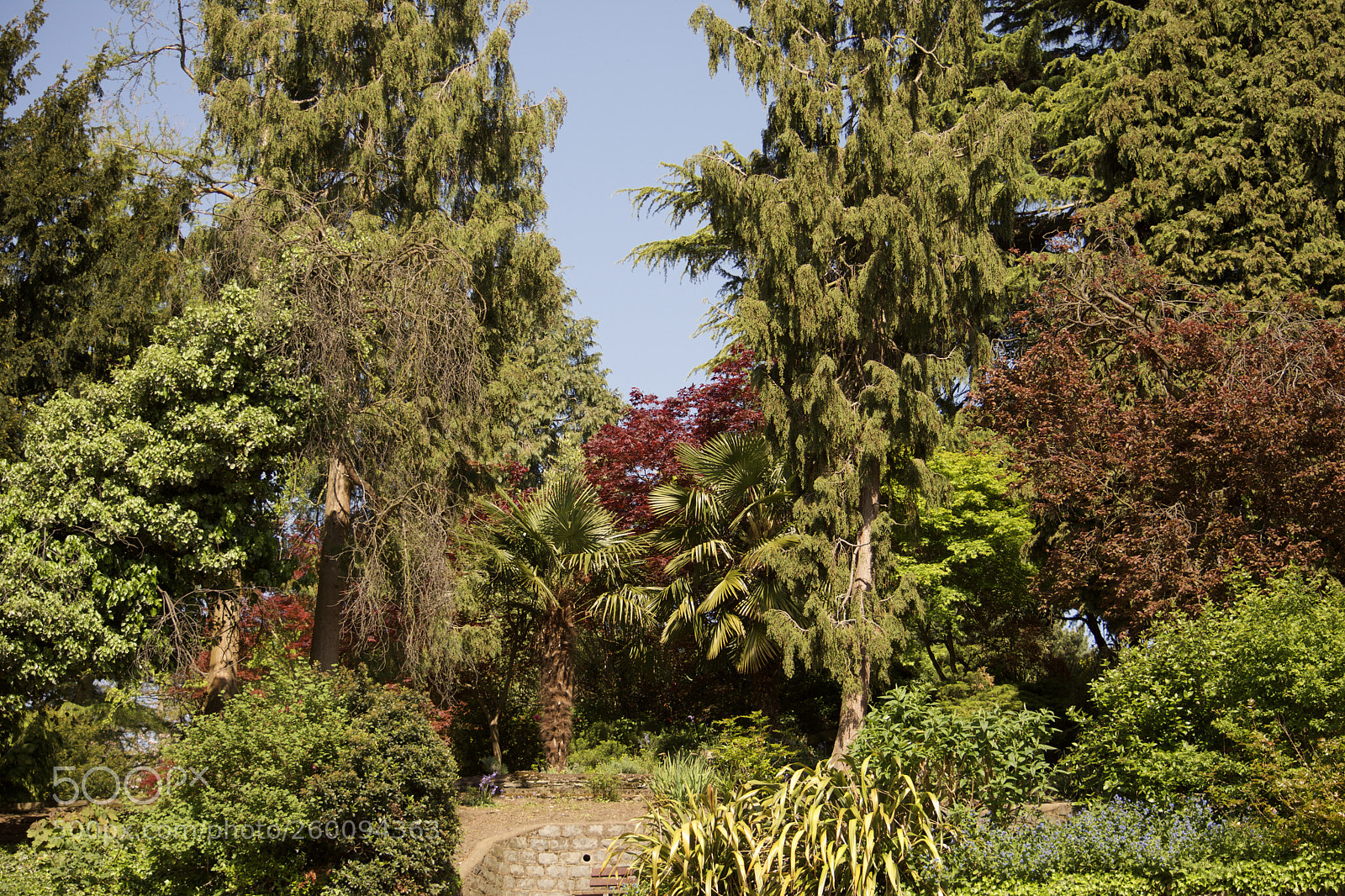 Nikon D7200 sample photo. Fullsizeoutput a photography