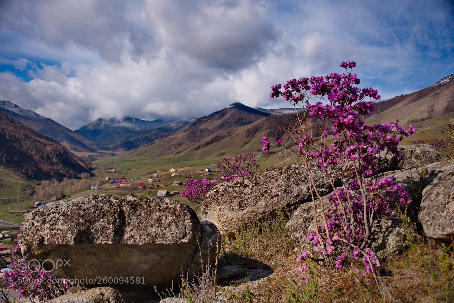 Nikon D750 sample photo. Russia. the south of photography