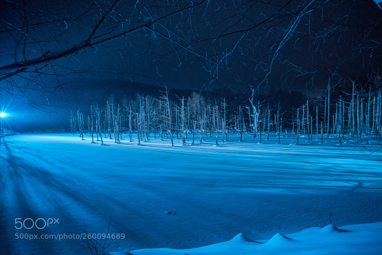 Sony a7R II sample photo. Night blue bond in photography