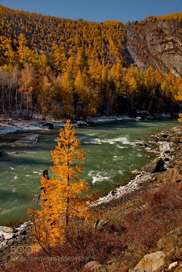 Nikon D750 sample photo. Russia. the south of photography