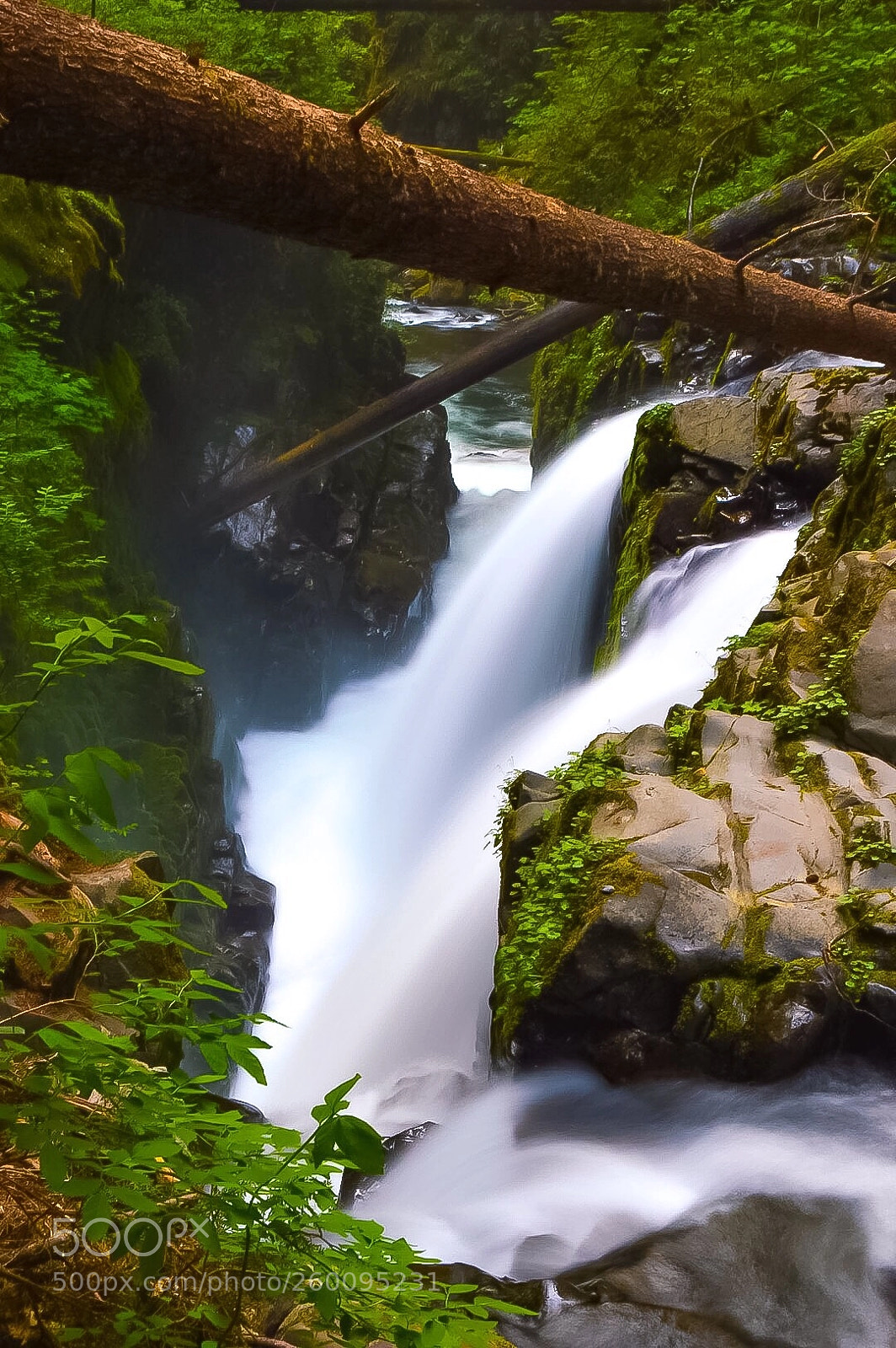 Nikon D3200 sample photo. Olympic national park photography