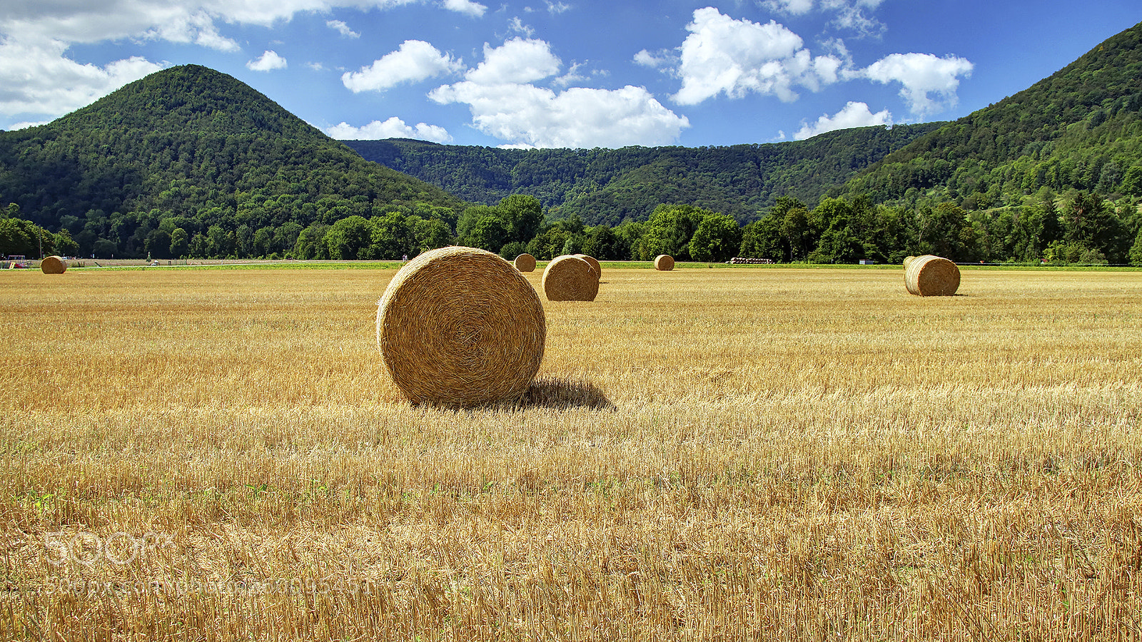 Canon EOS 70D sample photo. Landwirtschaft, agriculture photography