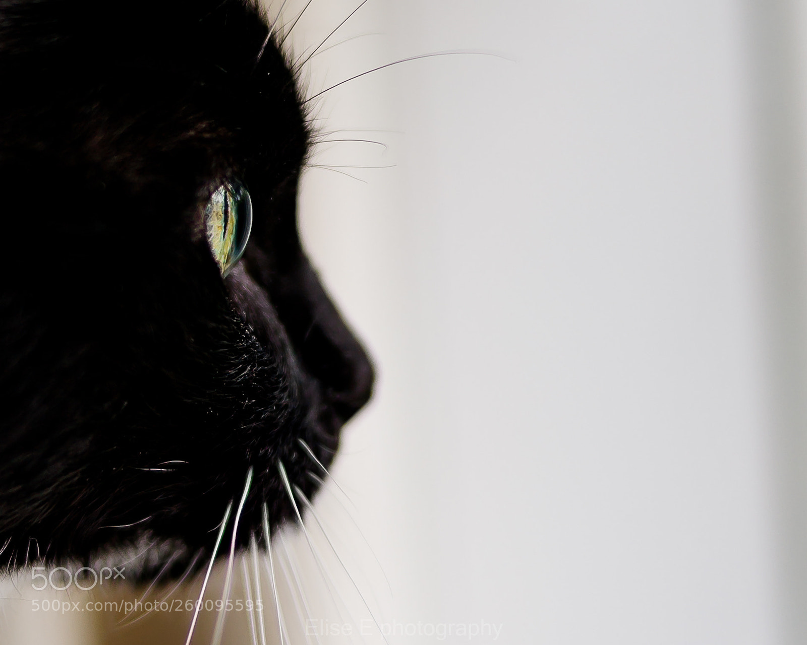 Canon EOS 6D Mark II sample photo. Untitled photography