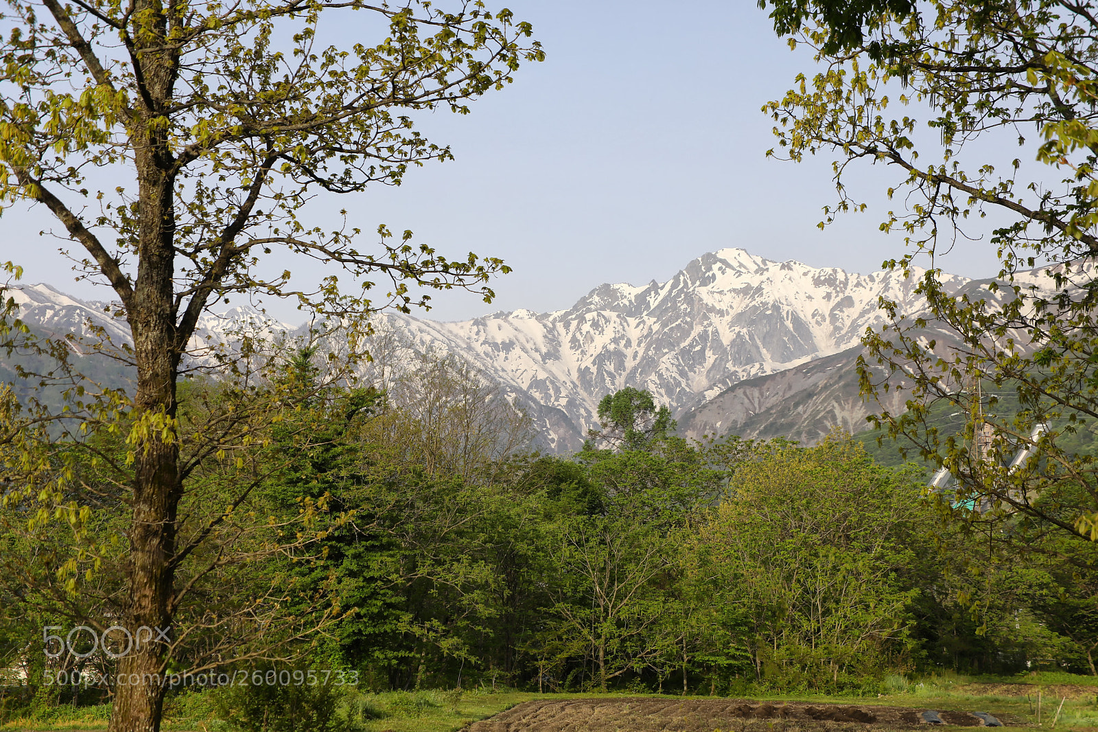 Canon EOS 5D Mark IV sample photo. Beautiful mt goryu in photography