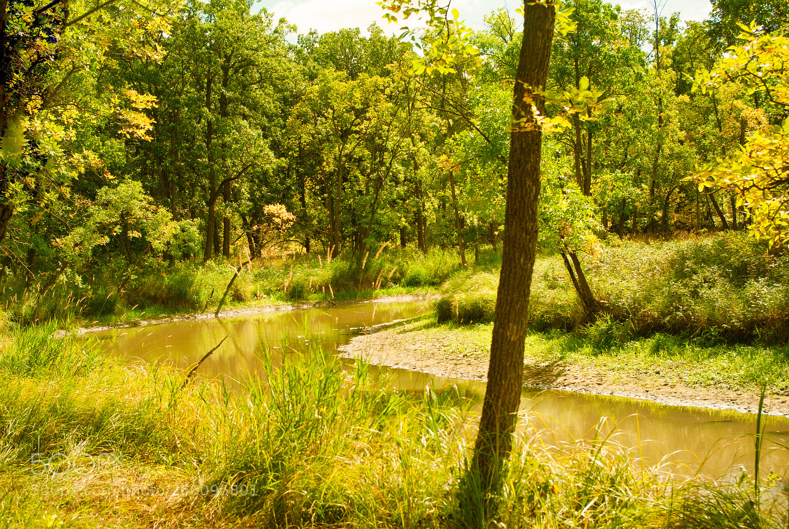 Pentax K200D sample photo. Golden river flow photography