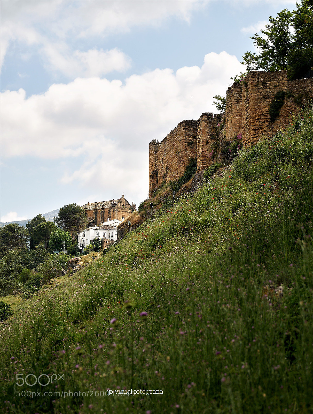 Sony a7 II sample photo. Muralla photography