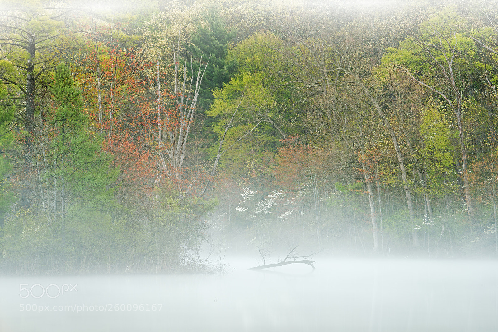 Nikon D810 sample photo. Spring hall lake in photography