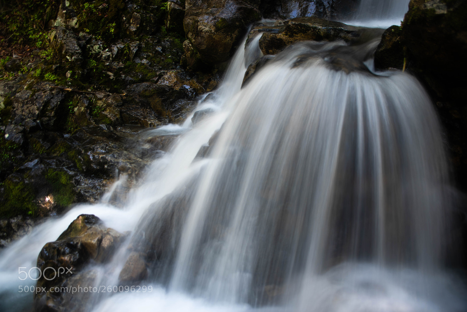 Nikon D810 sample photo. Sllky fall photography