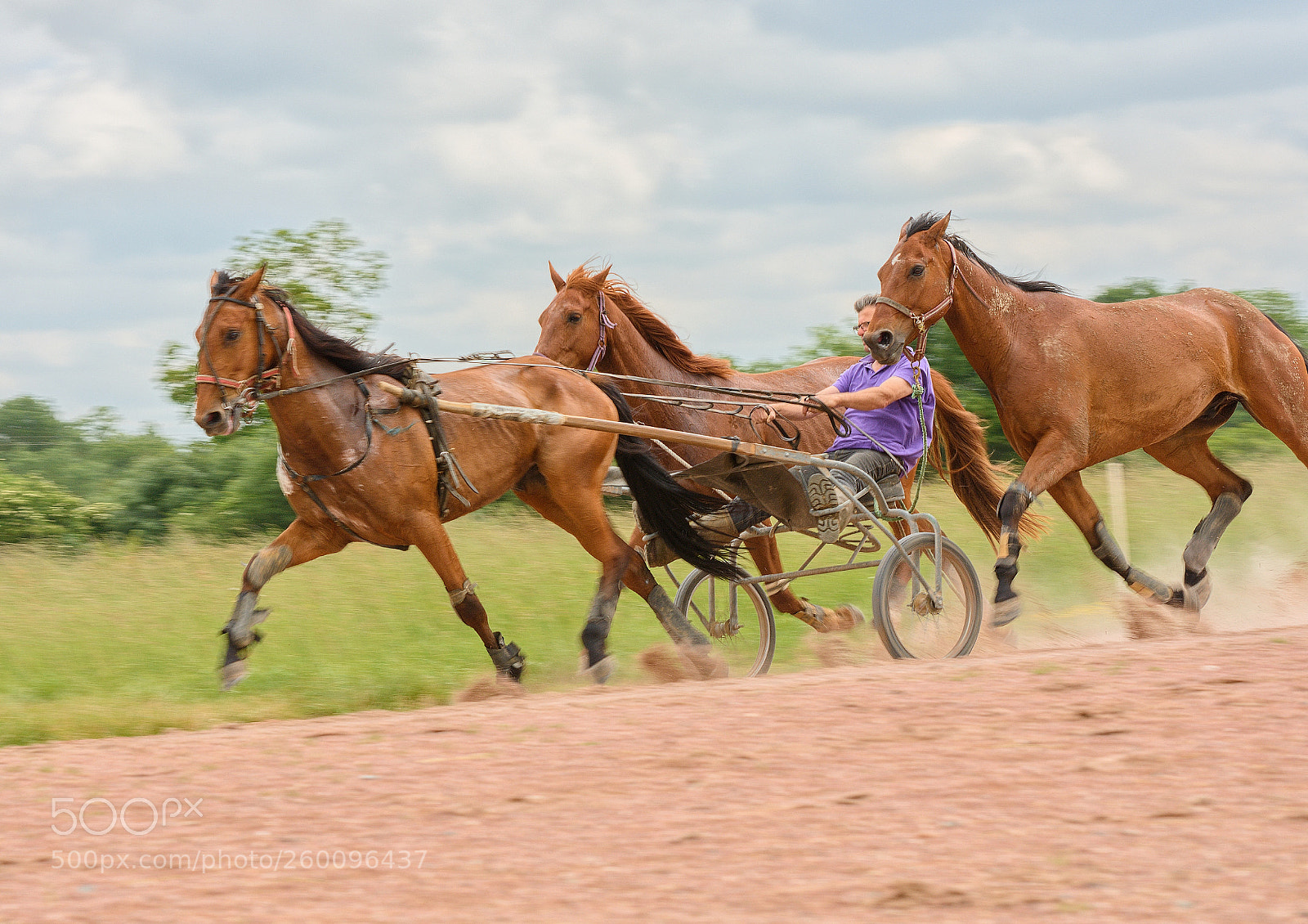 Nikon D7200 sample photo. Untitled photography