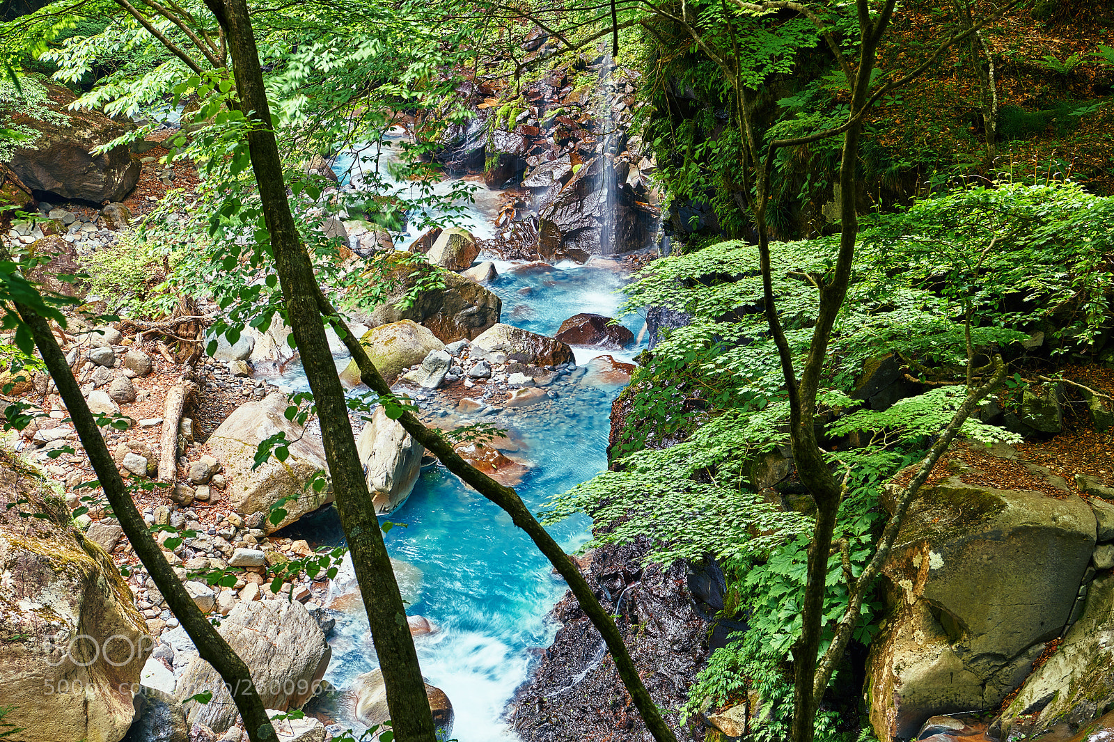 Nikon D850 sample photo. Spring upstream photography