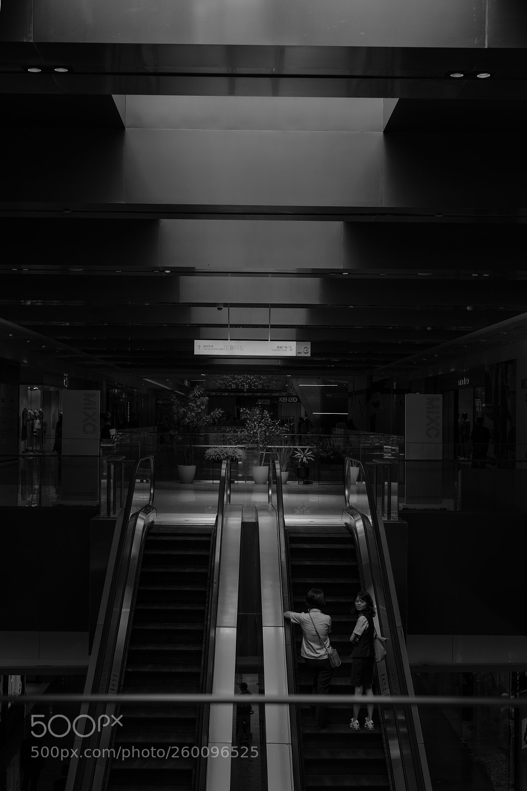 Nikon D850 sample photo. Endless photography