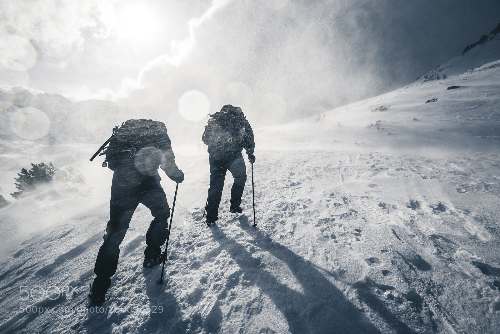 Nikon D610 sample photo. Tatry photography