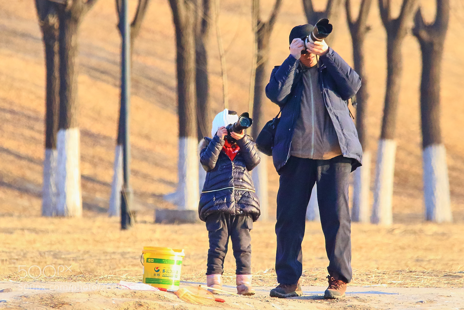 Canon EOS 7D Mark II sample photo. Untitled photography