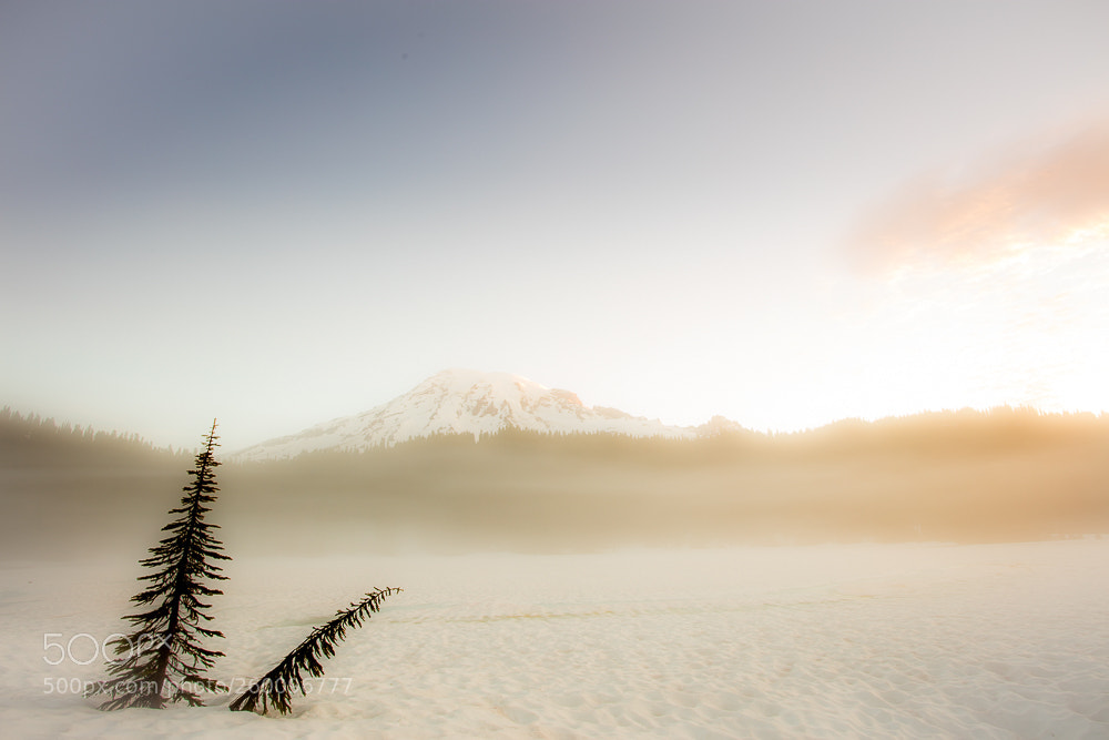 Canon EOS 5DS R sample photo. Northwest mirror lake 1 photography