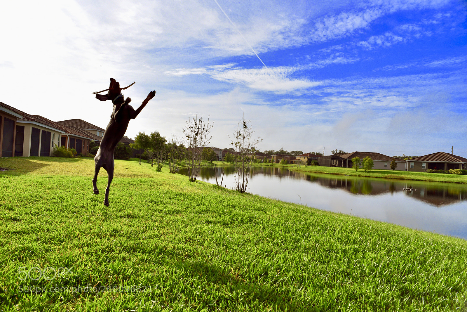 Nikon D750 sample photo. Romanjump photography