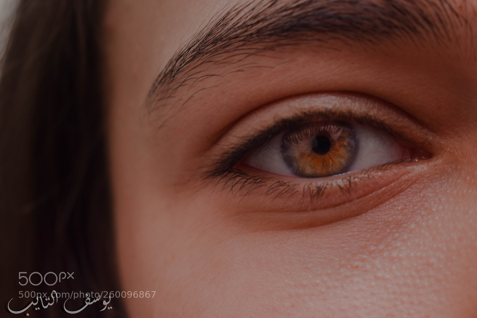 Nikon D5300 sample photo. Untitled photography