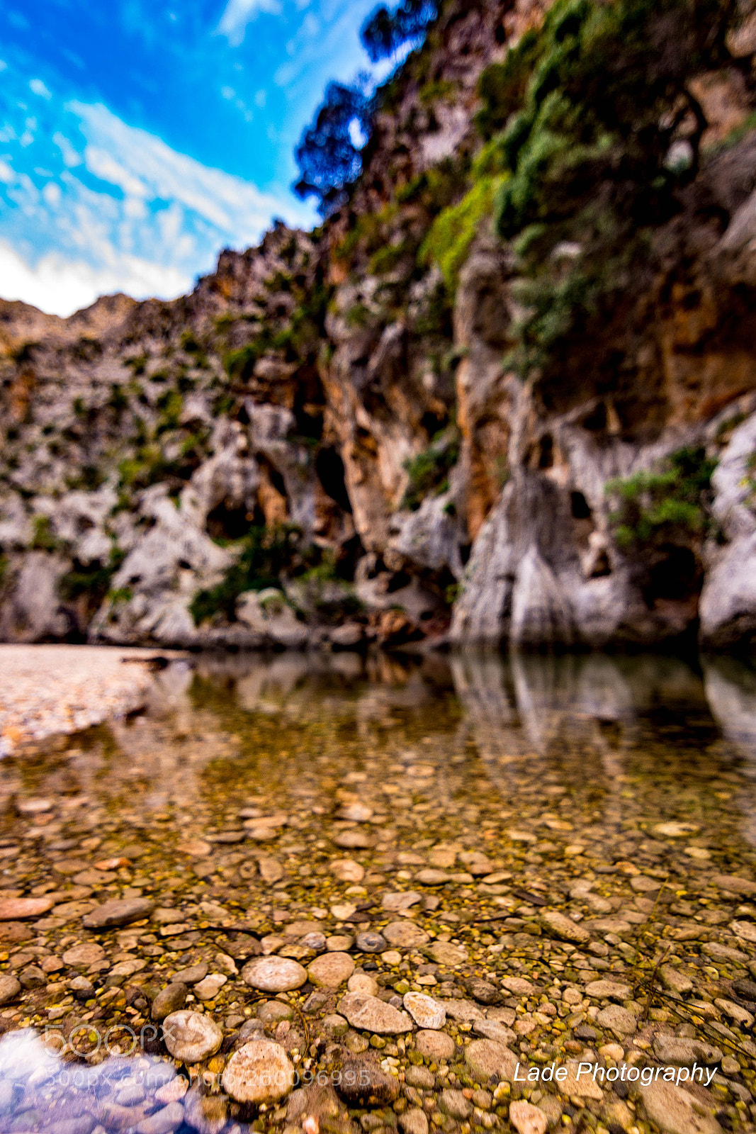 Nikon D7100 sample photo. Beneath the water photography