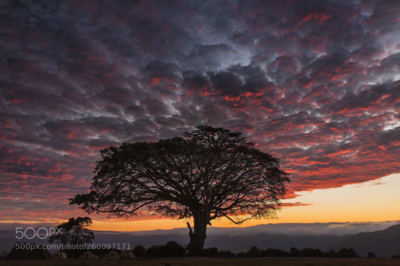 Canon EOS 50D sample photo. Epic sunrise in ngorongoro photography