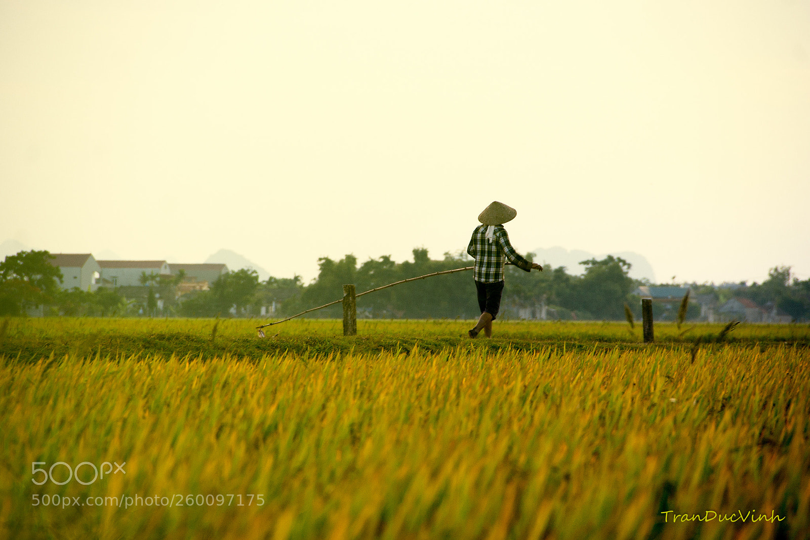 Canon EOS 20D sample photo. Edit edit photography