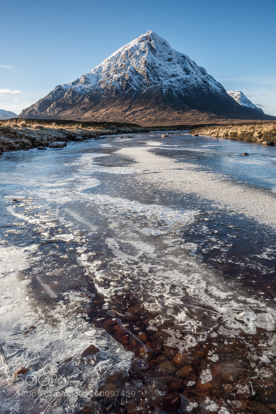 Nikon D810 sample photo. The great herdsman the photography