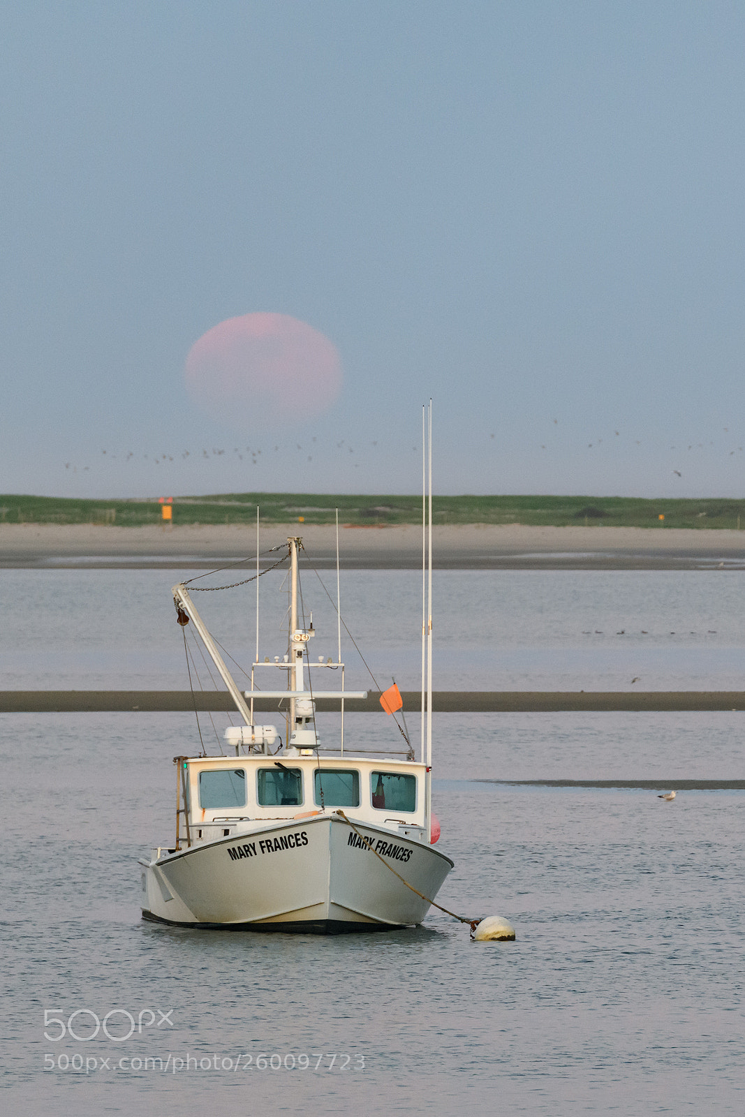 Nikon D850 sample photo. Full moon rising photography