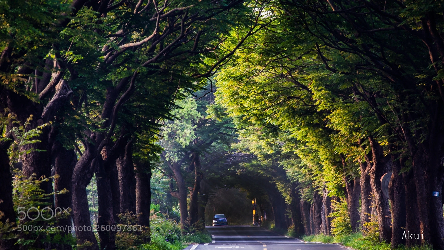 Canon EOS 5D Mark IV sample photo. Boulevard in the morning photography