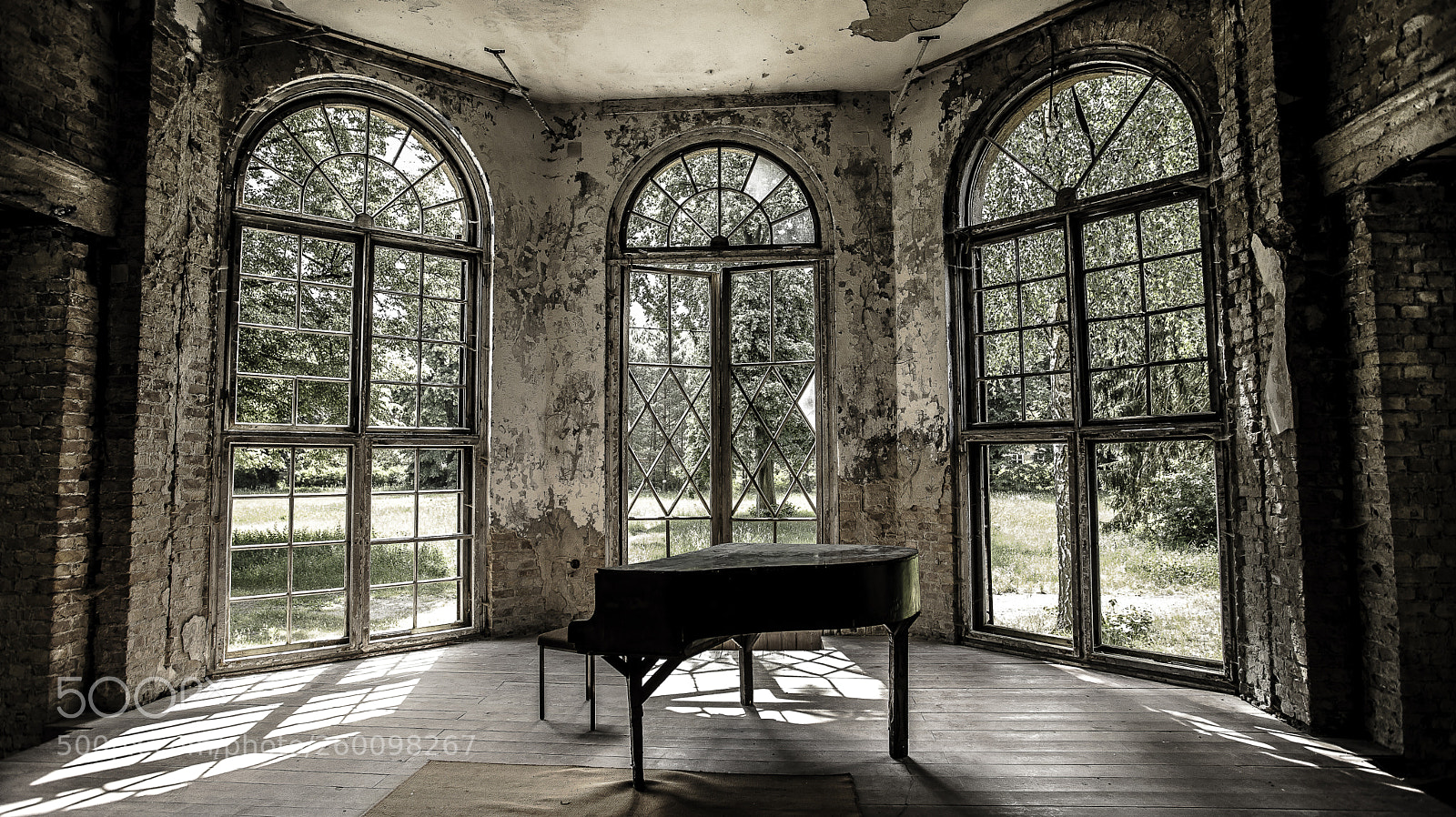 Canon EOS 6D Mark II sample photo. The last curtain photography