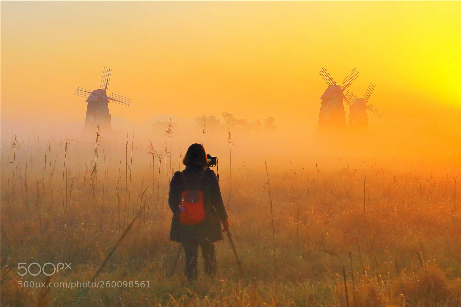 Canon EOS 6D sample photo. In the fog photography