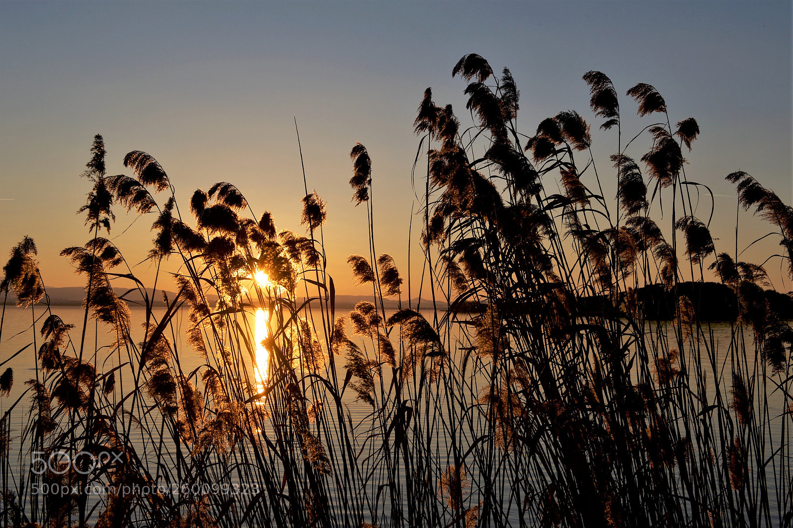 Nikon D700 sample photo. Tramonto sul lago trasimeno photography