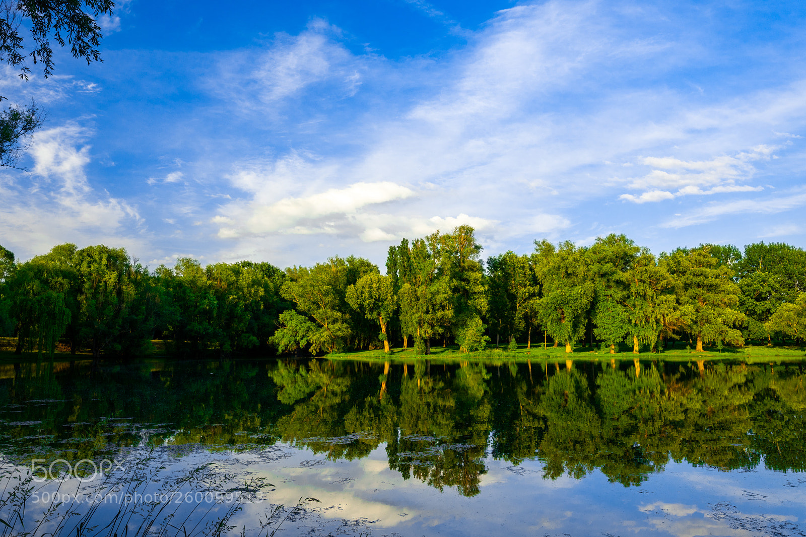 Sony a7 II sample photo. Lakeside photography