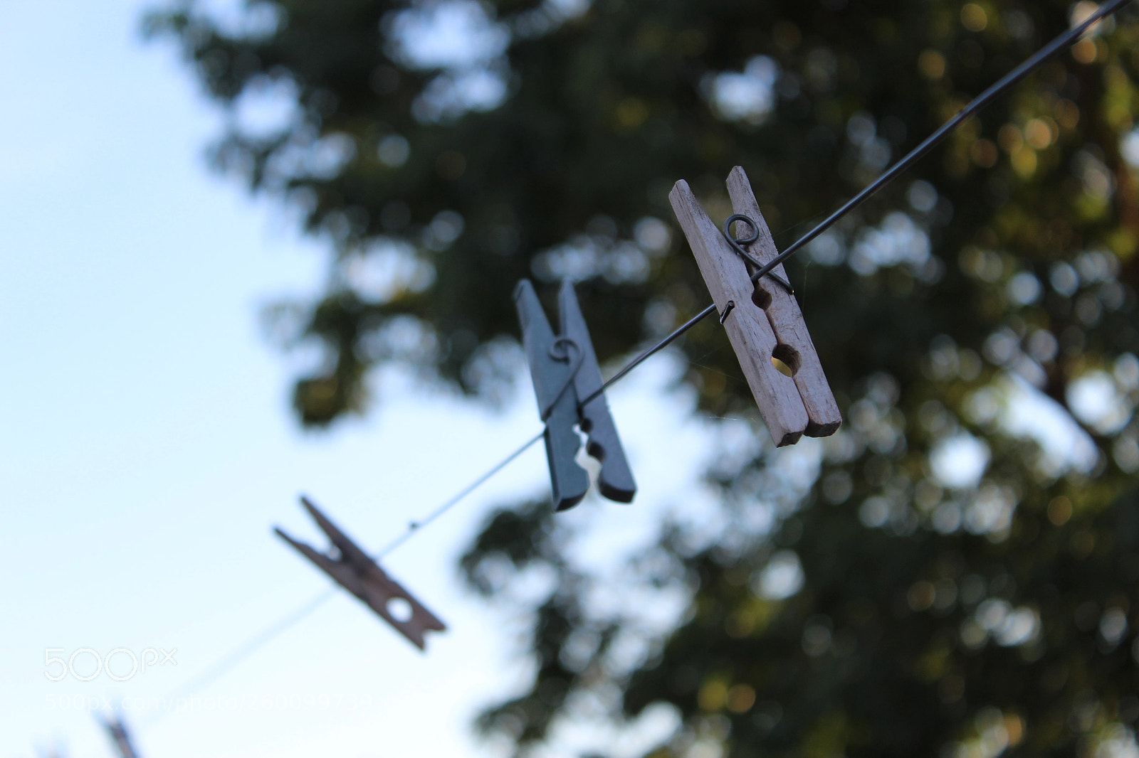 Canon EOS 1200D (EOS Rebel T5 / EOS Kiss X70 / EOS Hi) sample photo. Broches... photography