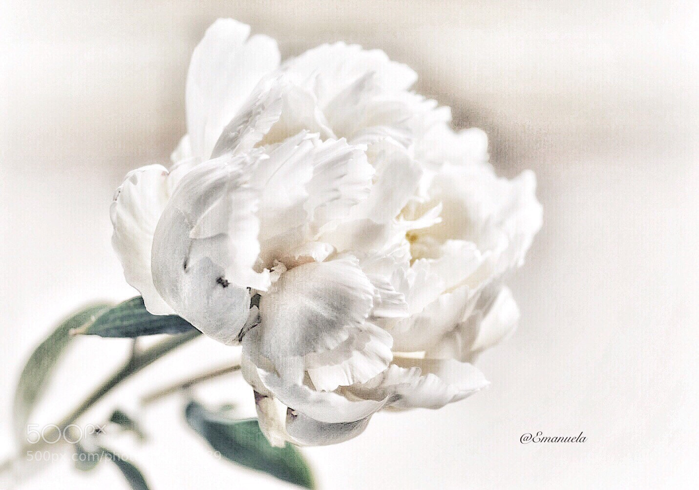 Nikon D7200 sample photo. Innocence  photography