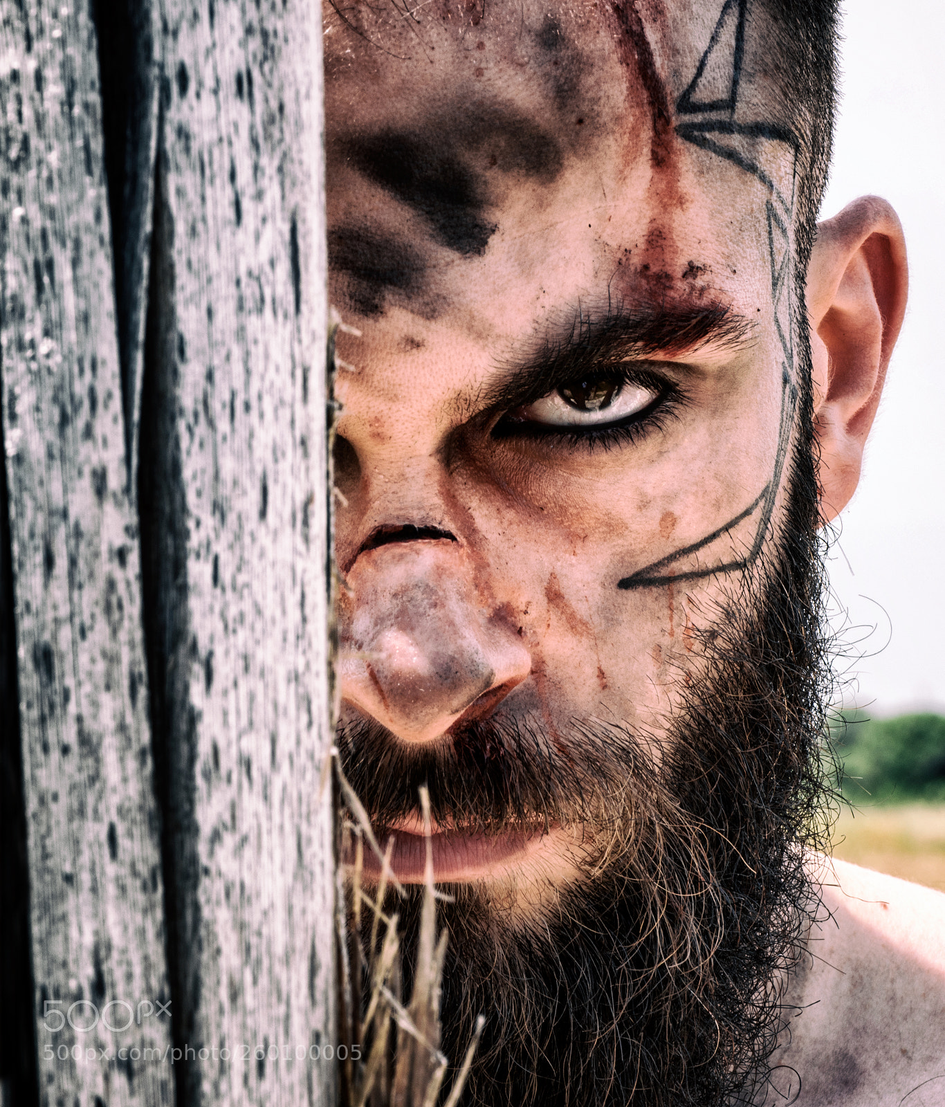 Nikon D5500 sample photo. The viking photography