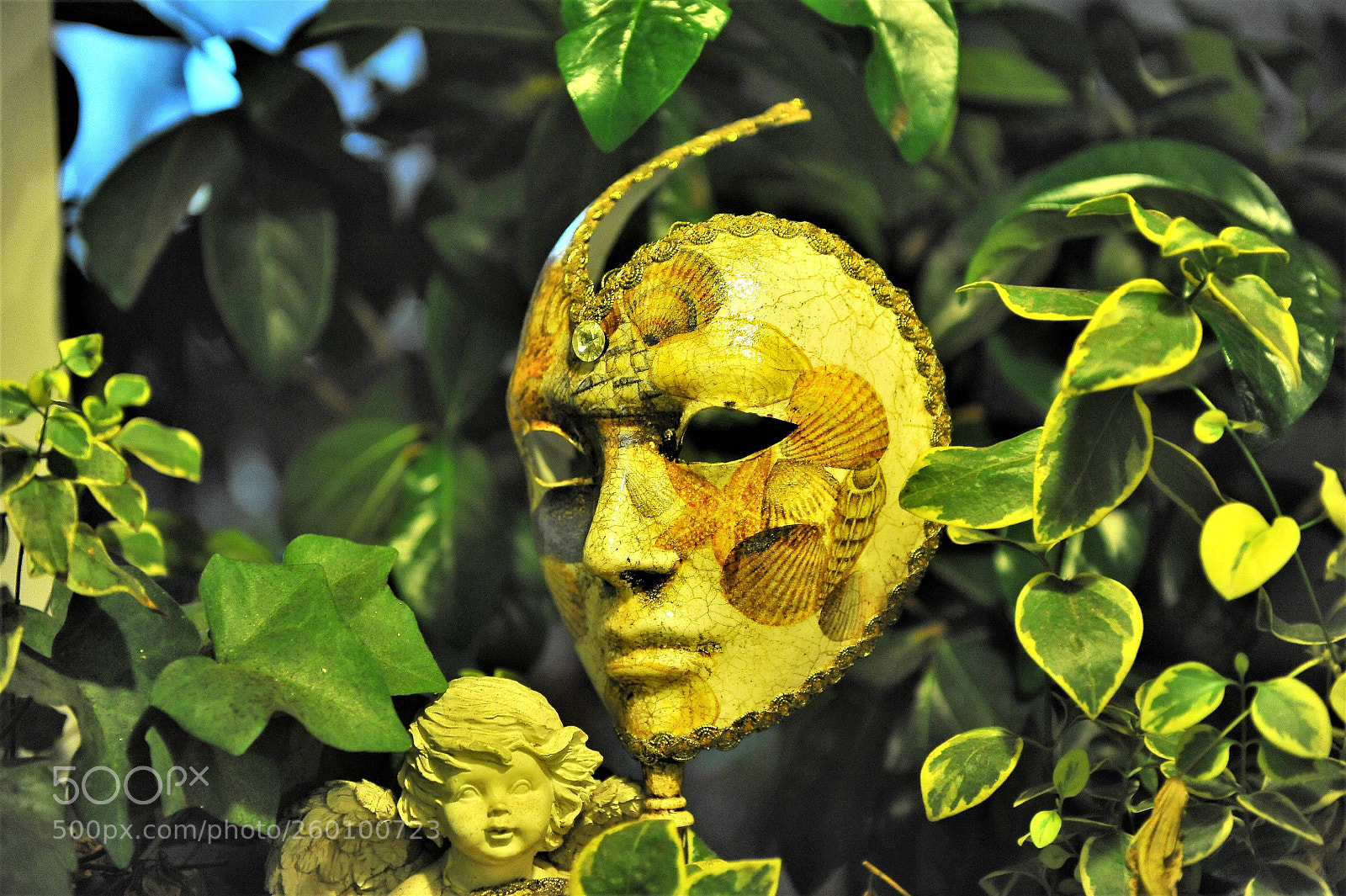 Nikon D700 sample photo. Maschera di carnevale photography