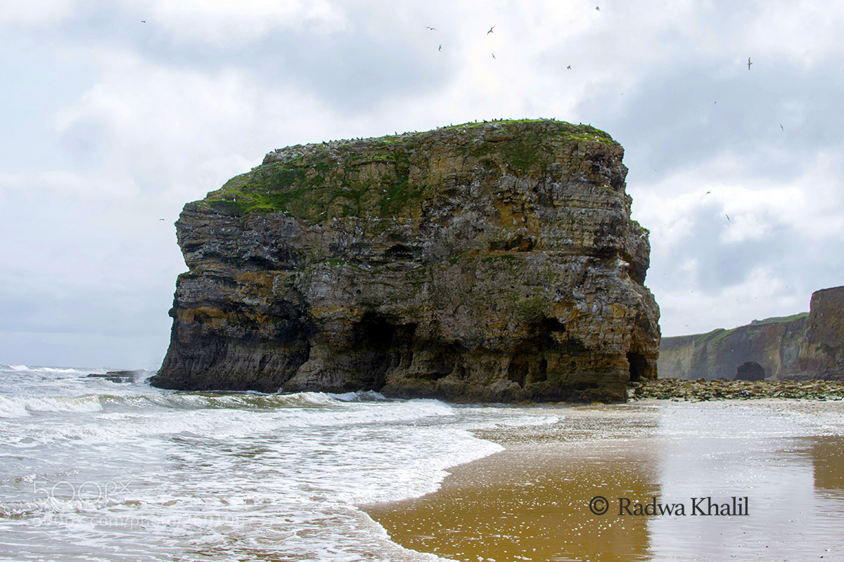 Canon EOS 700D (EOS Rebel T5i / EOS Kiss X7i) sample photo. The rock photography