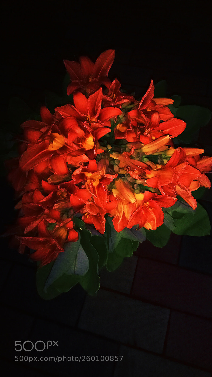 Xiaomi Redmi Note 4 sample photo. Untitled photography