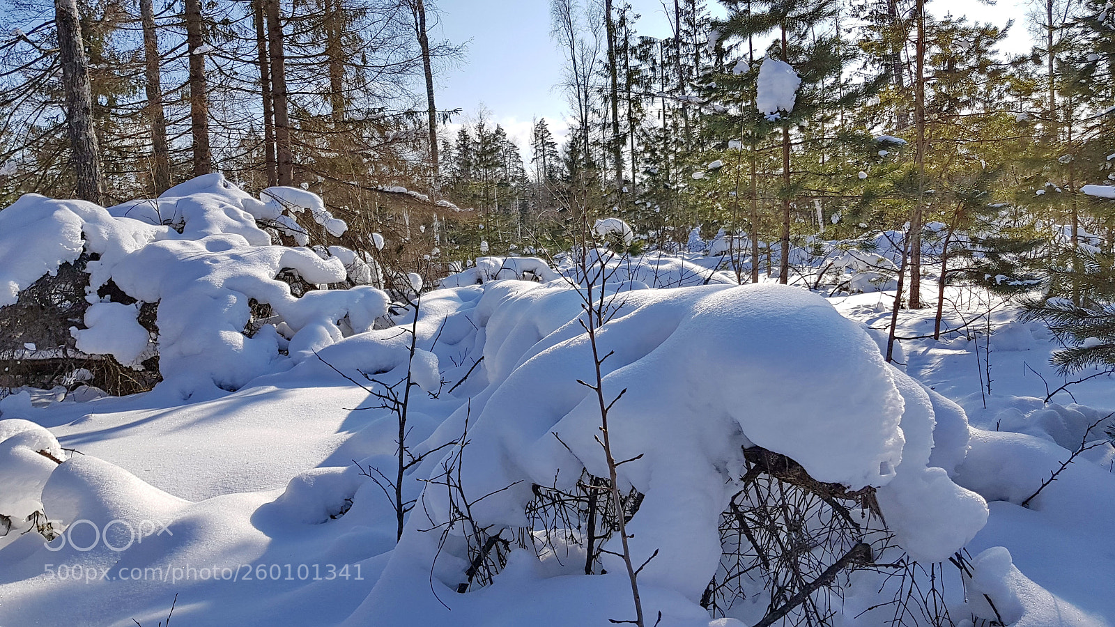 Samsung Galaxy S8+ sample photo. Домашовомарт photography