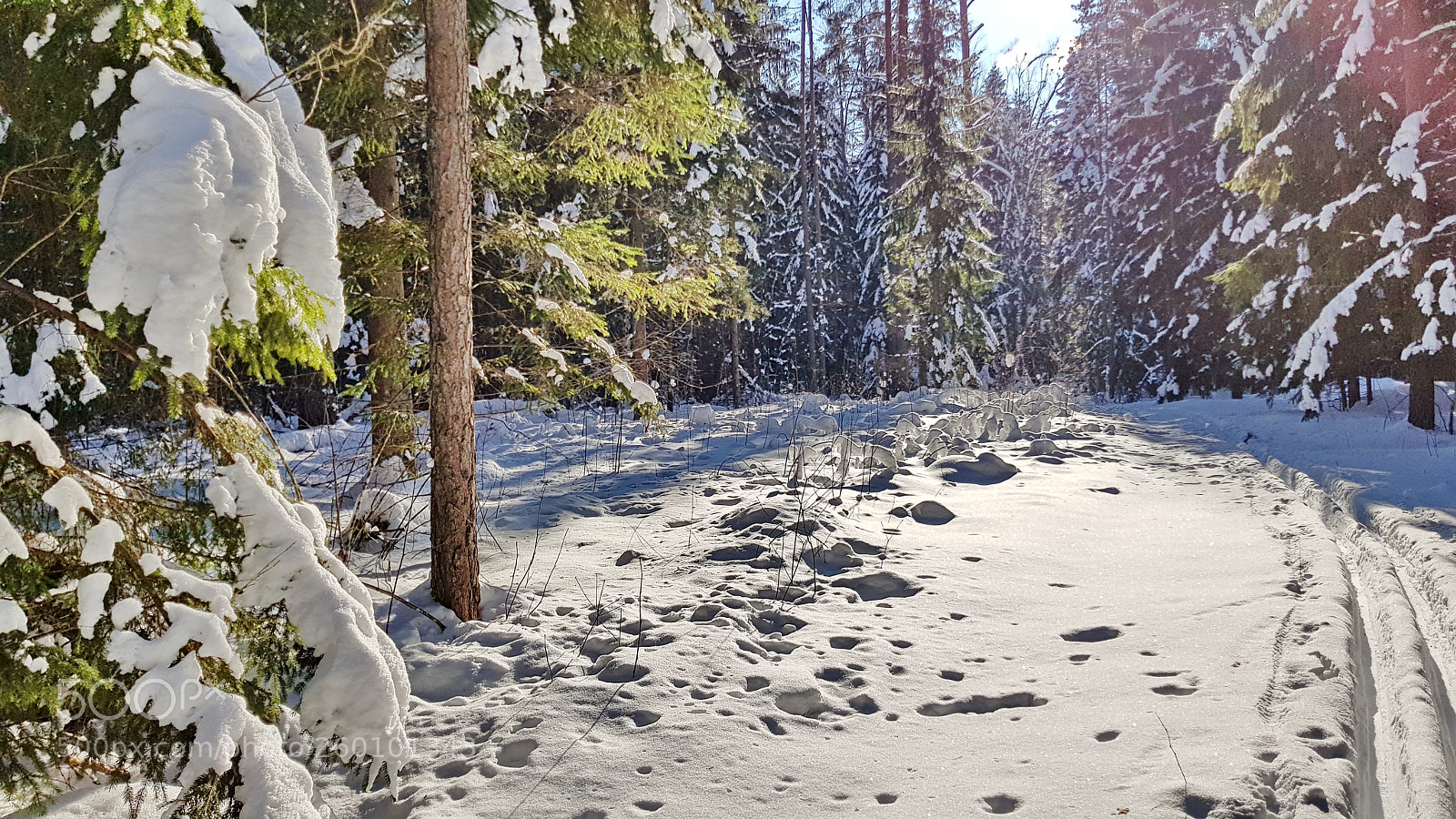 Samsung Galaxy S8+ sample photo. Домашовомарт photography