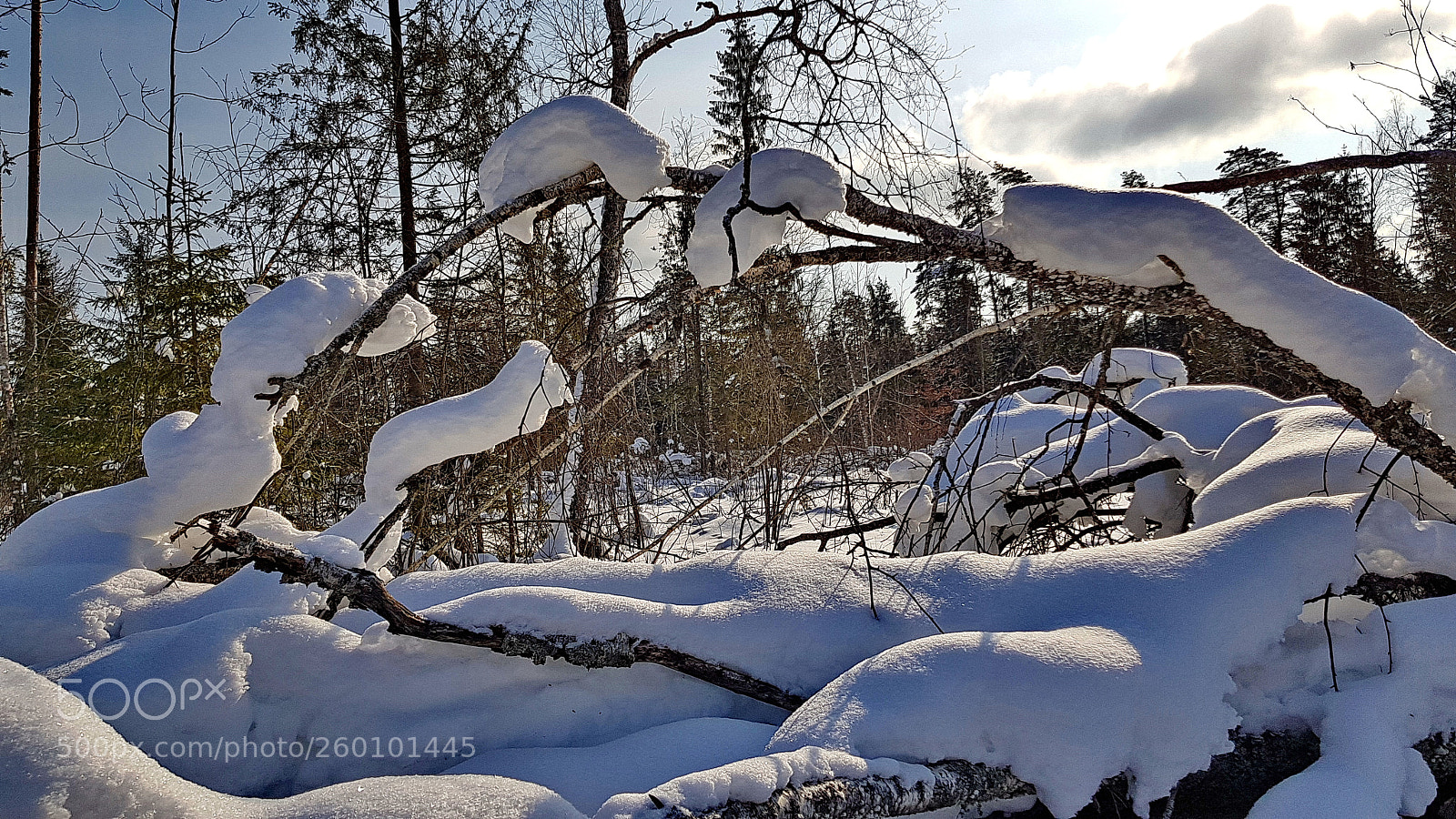 Samsung Galaxy S8+ sample photo. Домашовомарт photography