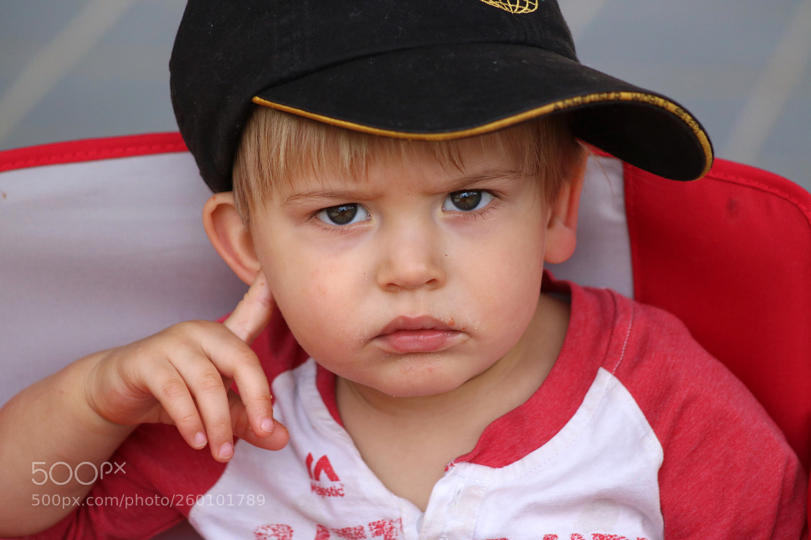 Canon EOS 750D (EOS Rebel T6i / EOS Kiss X8i) sample photo. Toughie 8177 photography