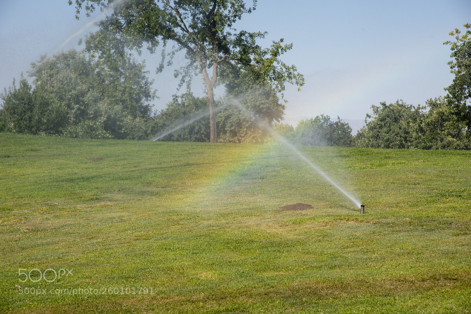 Nikon D810 sample photo. Sprinkler rainbow photography